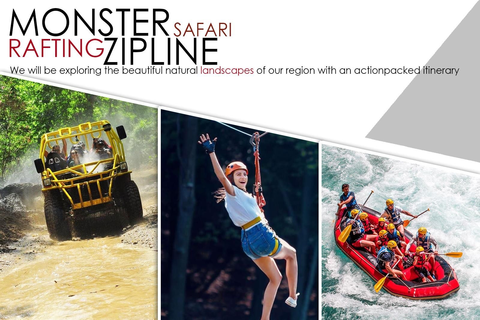 Safari Tours