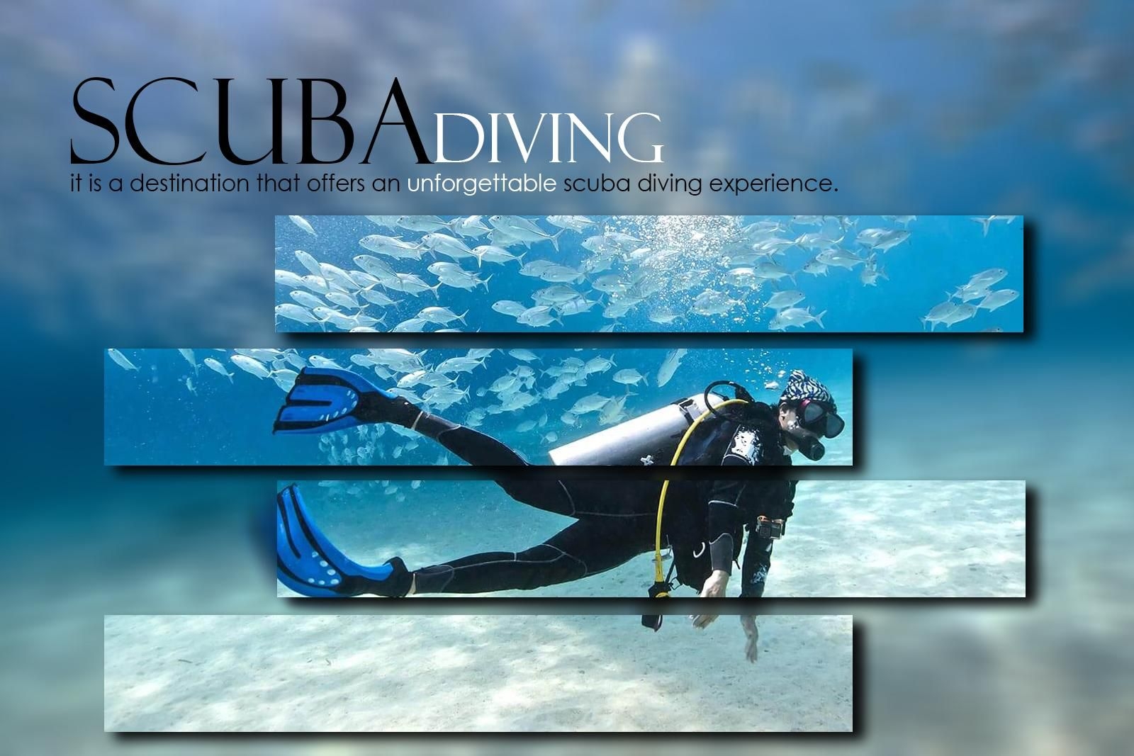 Scuba Diving